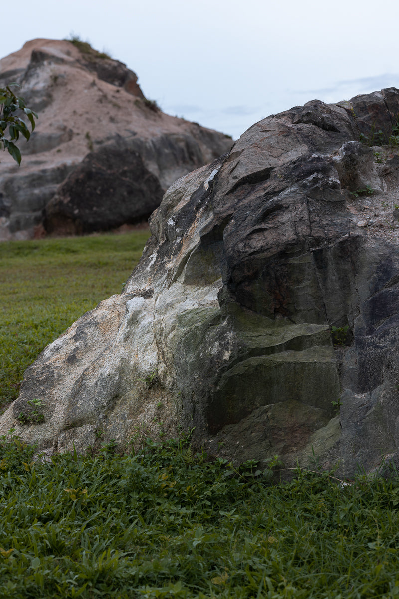 FWS-Assos 5'1 / 157 cm