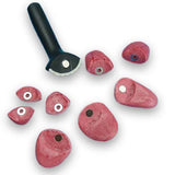 Teeth and Tongue Set