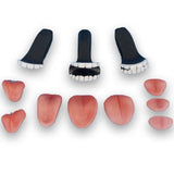 Teeth and Tongue Set